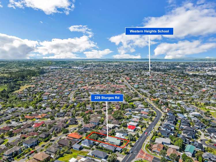 229 Sturges Road Henderson_13