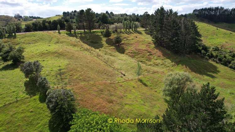 318 Franklin Road Paparoa_65