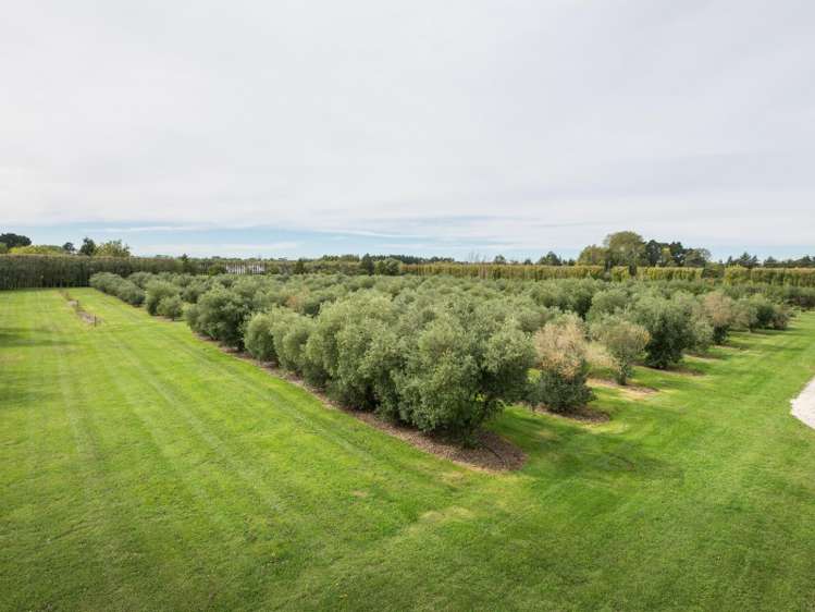 846 Tram Road Ohoka_18