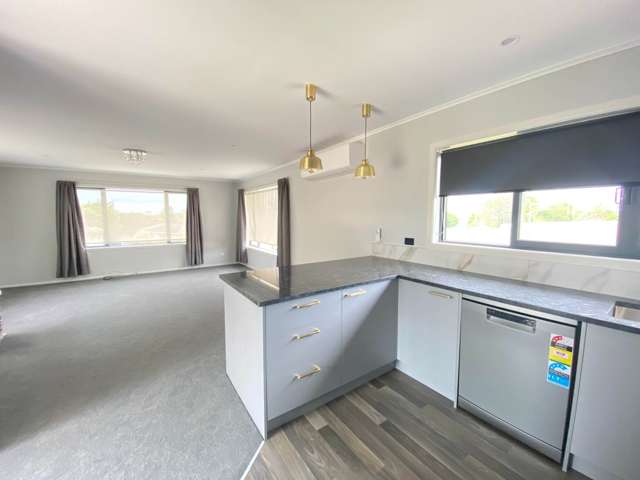 91 Reeves Road Pakuranga_2