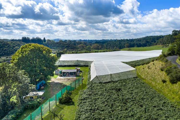 1151 Oreipunga Road Maungatautari_12