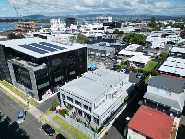 Level 1 Office 102 Hamilton Street Tauranga_3