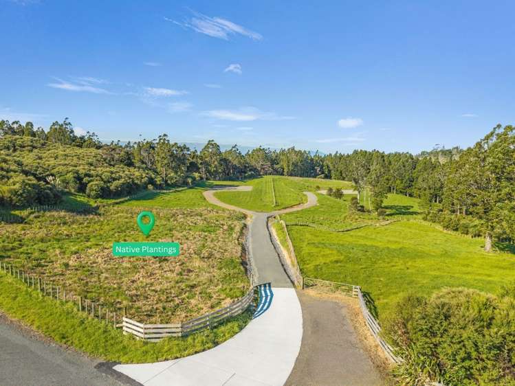 29 Mokohinau Drive_3