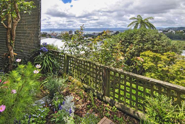 34 Patanga Crescent Thorndon_12