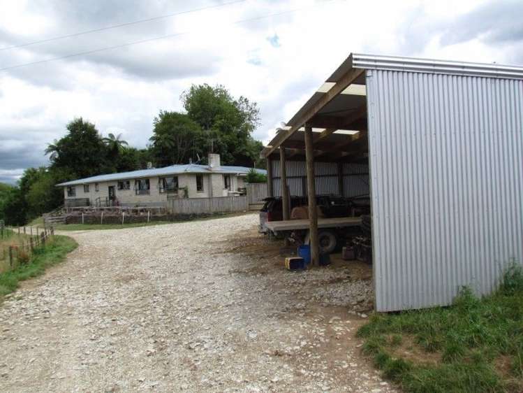 531 Boddie Road Te Kuiti_3