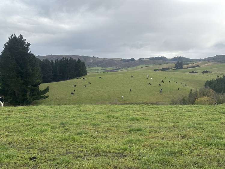 158 Kowhatu Road Waimate_29