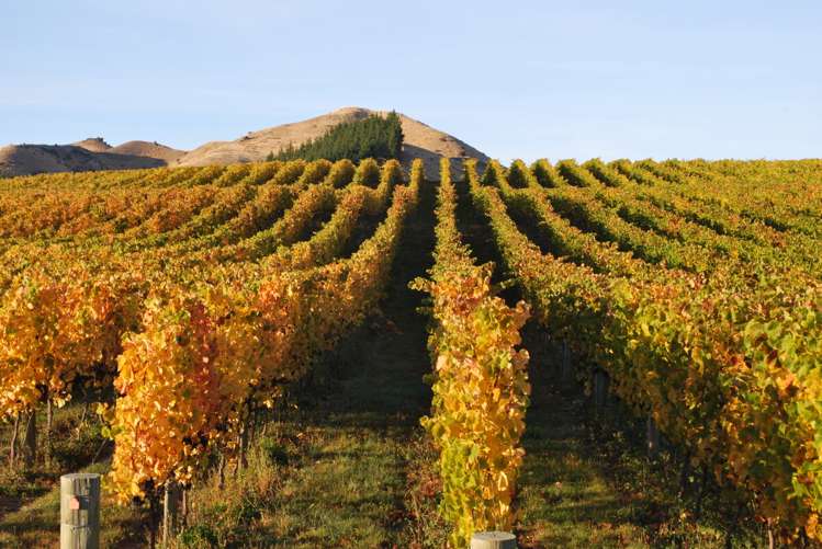 220 Ballochdale Road Awatere Valley_16