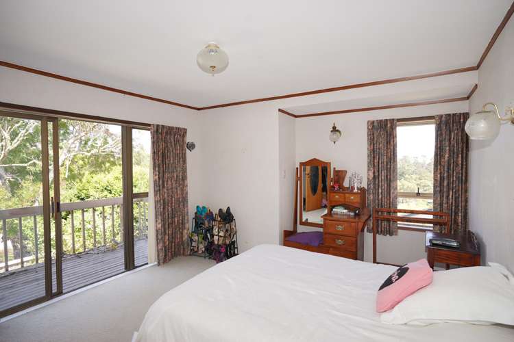 115 Porritt Avenue Chatswood_13