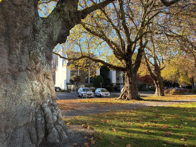 61 Cambridge Terrace Christchurch Central_9