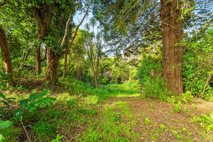 224 Wade River Road Arkles Bay_7