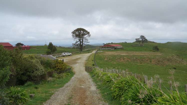 291 Mahoe Road Waitomo_19