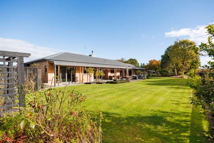 38 Brandon Hall Road Bulls_23