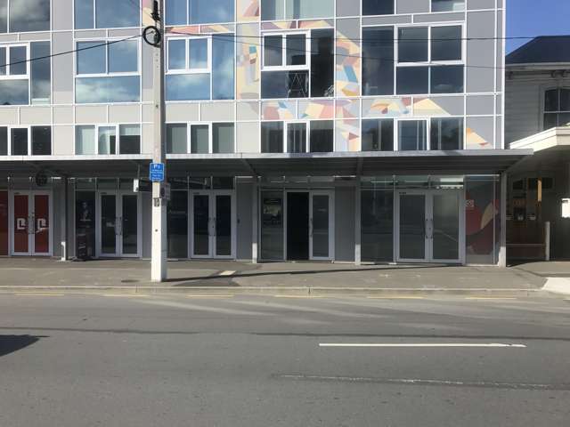 D/309 Willis Street Te Aro_2