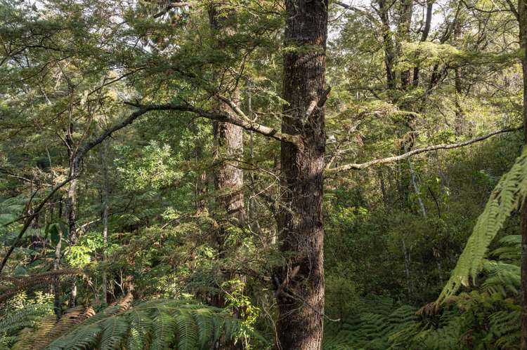 146c Motueka River West Bank Road Tasman_23