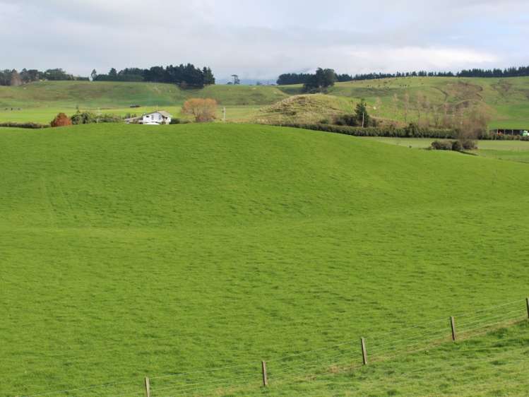 86 Glengarry Road Dannevirke_14