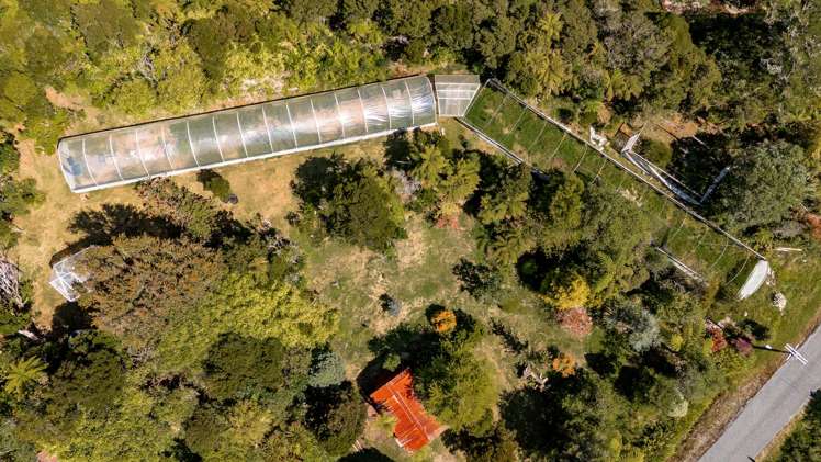 16 Napier Street Millerton_4