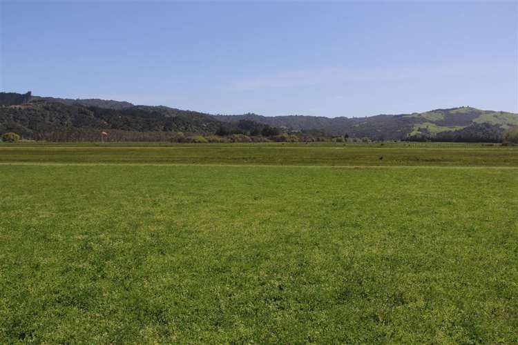 10 Bravo Place Whitianga_0