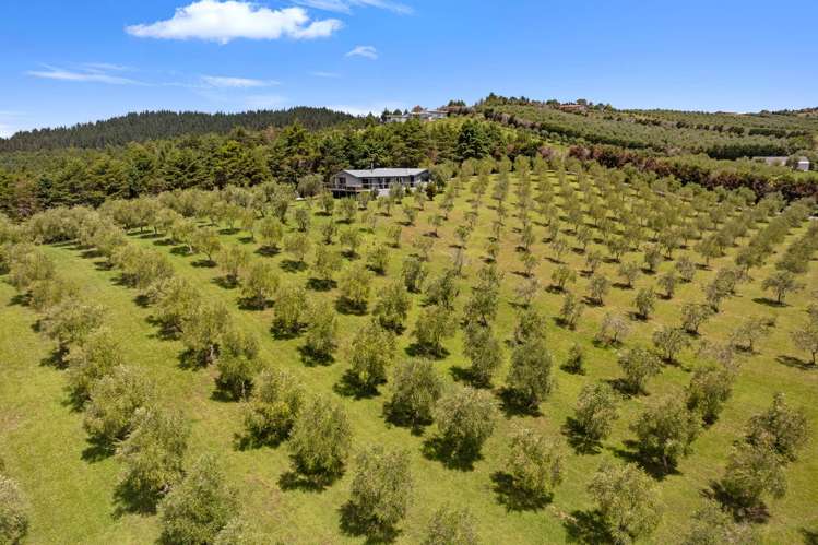 72 Leccino Valley Road Mangonui_8