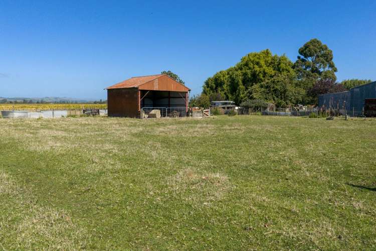 541 State Highway 51 Hastings_21