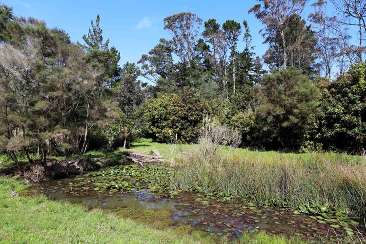 880 South Head Road South Head_13