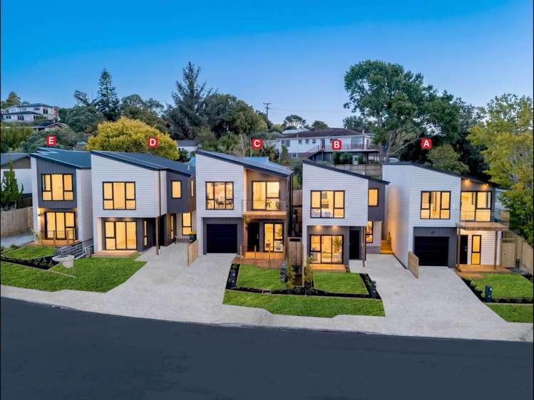 3E Terra Nova Street Glen Eden_2