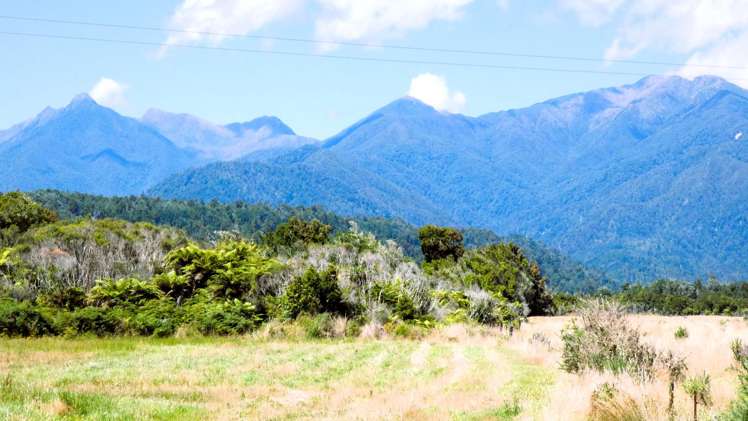 9 Croninville Terrace Charleston_17