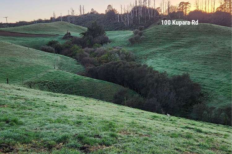 100 + 108 Kupara Road_5