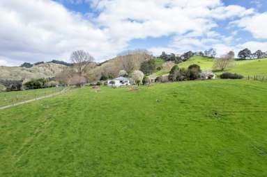 1471 Mangamahu Road_2
