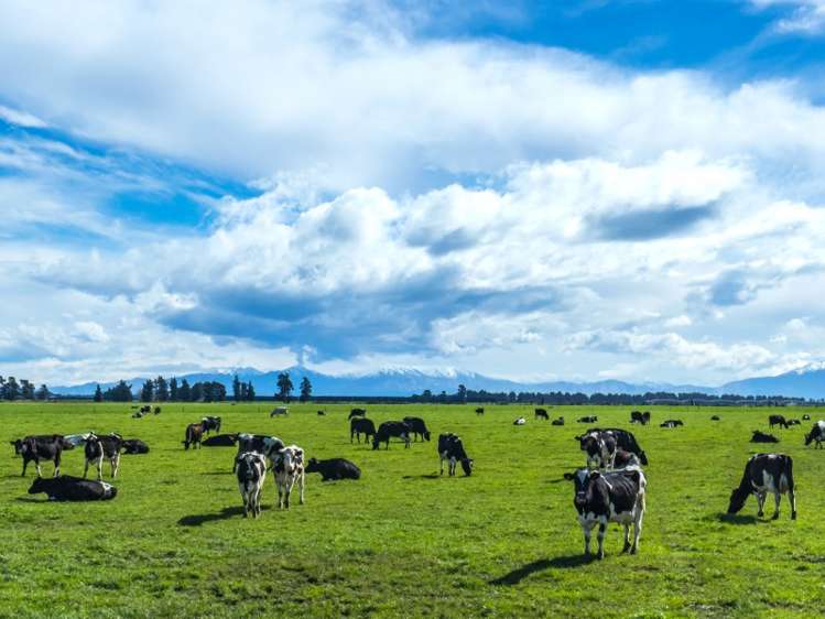 377 Emersons Road Lowcliffe_9