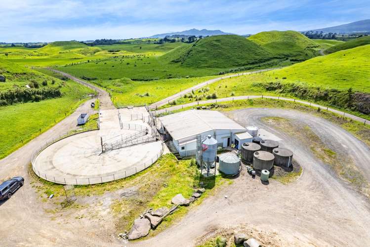 523/593 Warea Road Warea_2