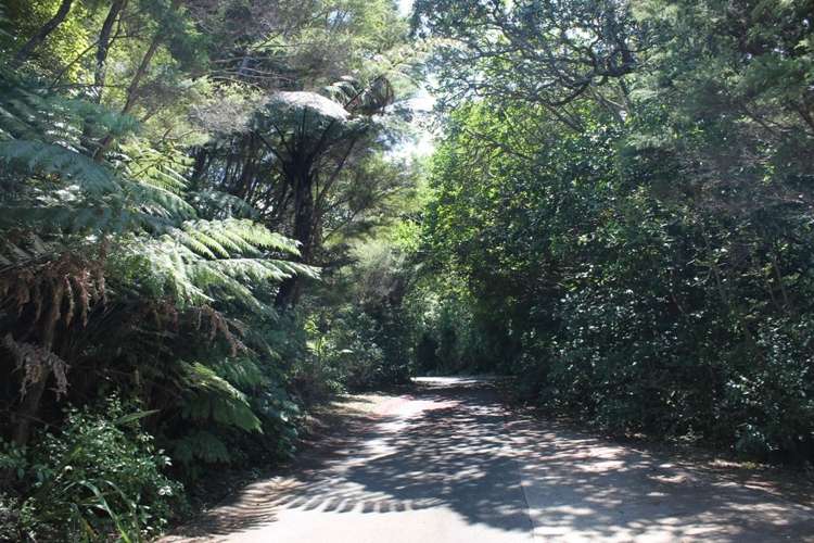 604 Wyuna Bay Road Coromandel_13