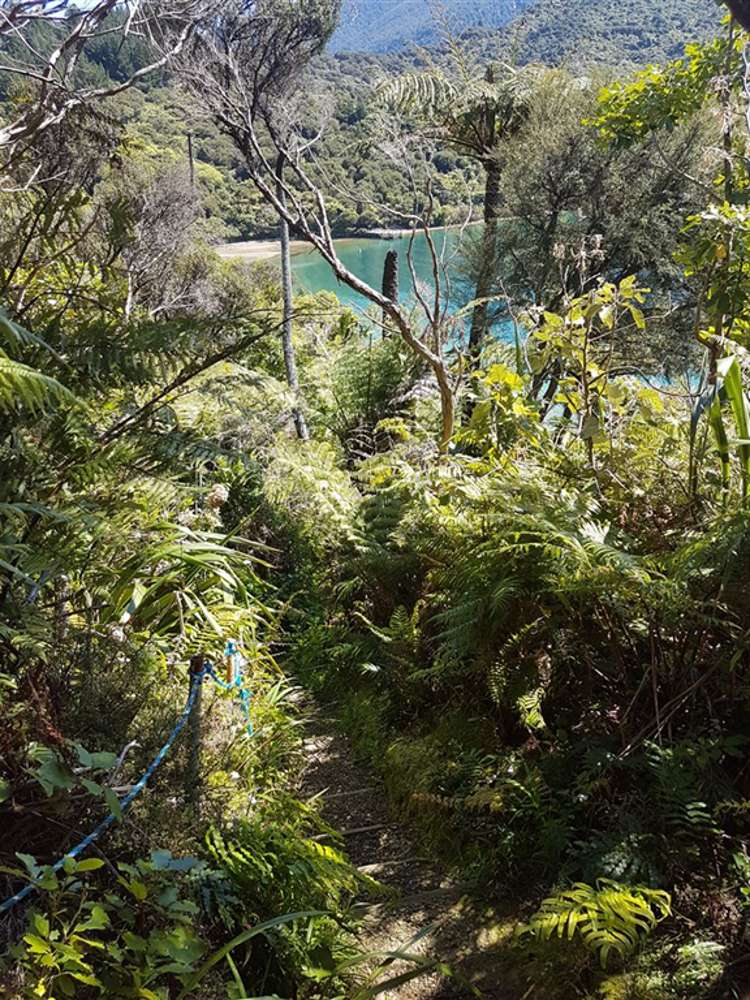 135 Akerbloms Road Kenepuru Sound_20