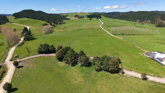 337 Mill Road Kawakawa_1