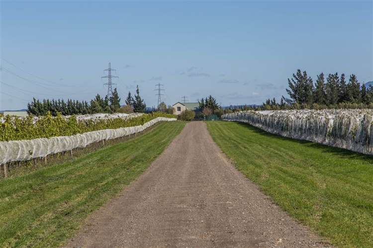 73 Mackenzies Road Waipara_16