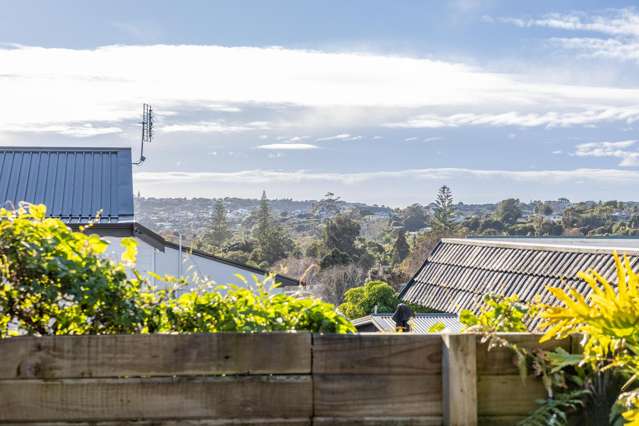 24C Homestead Road Manly_4