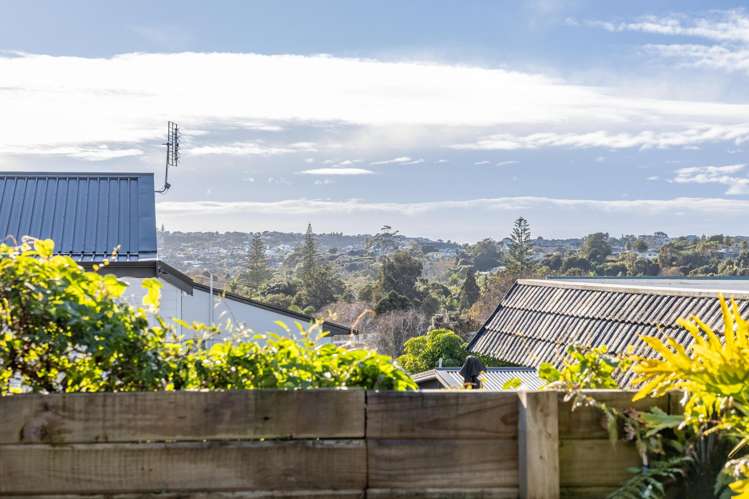 24C Homestead Road Manly_17