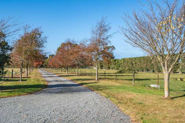 186 Terrace Road Leithfield_1