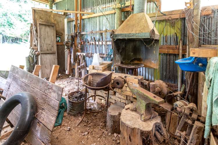 33 Pakaraka Thames_28