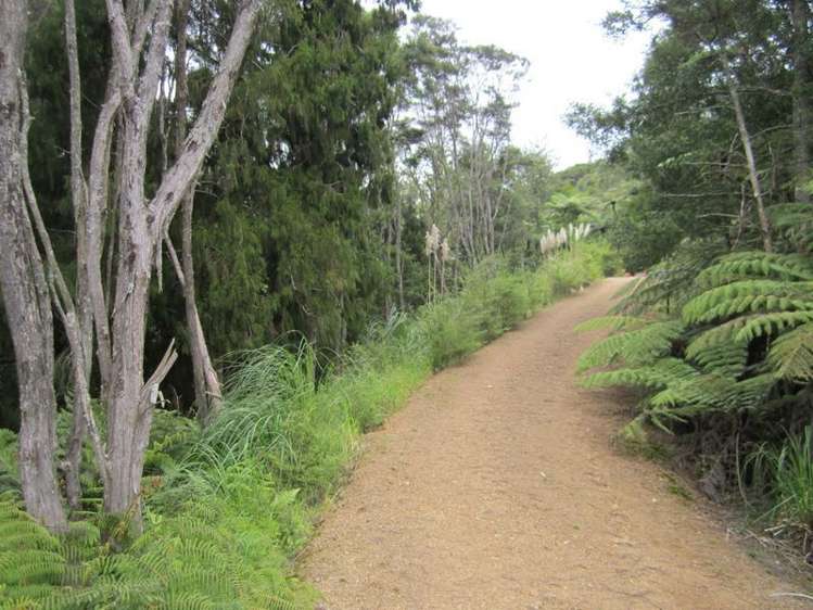 321a Quine Road Tahuna_5