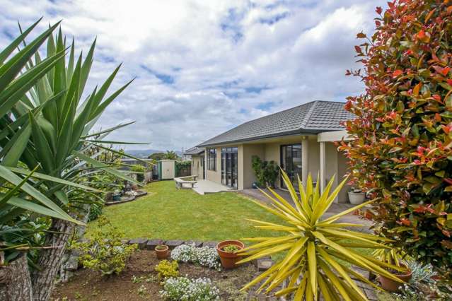 20 Willis Avenue Pukekohe_3