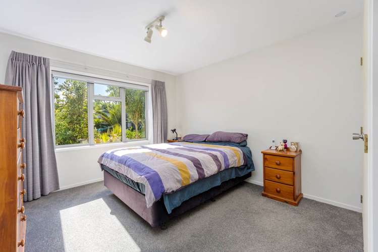 55 Seaview Terrace Mount Albert_4