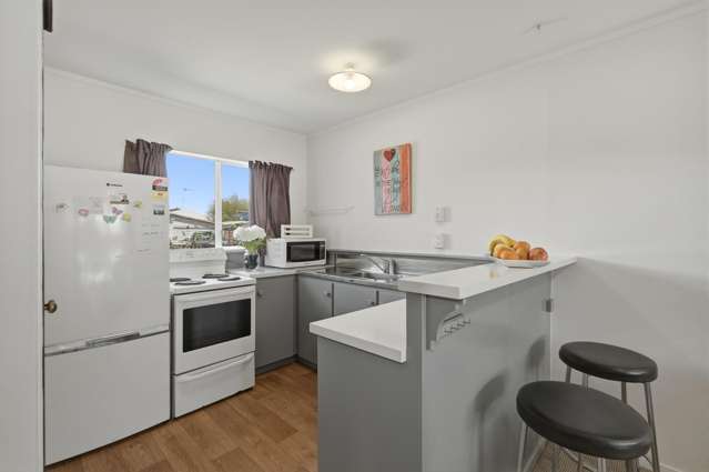 411A Ngatai Road Bellevue_4