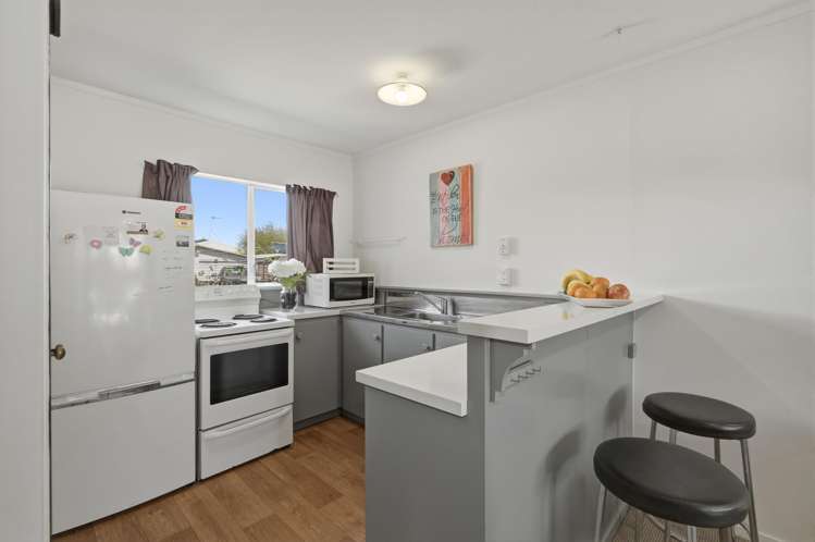 411A Ngatai Road Bellevue_4