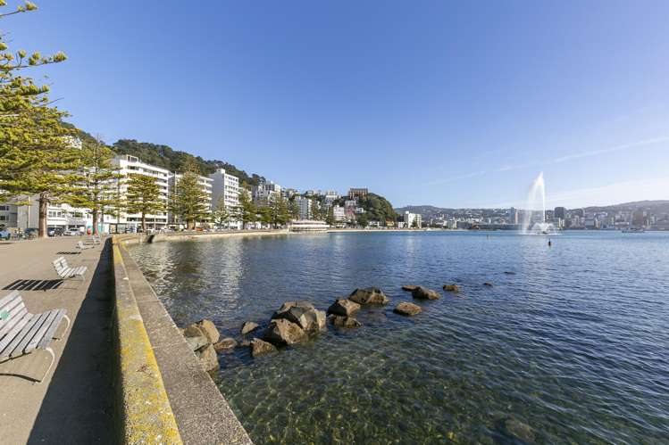 7B/20 Oriental Terrace Oriental Bay_18