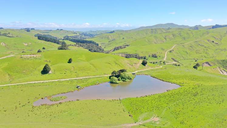 207 Mangatuna Road Weber_10