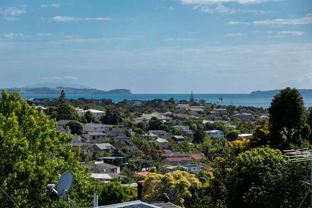 10 Galaxy Drive Mairangi Bay_2