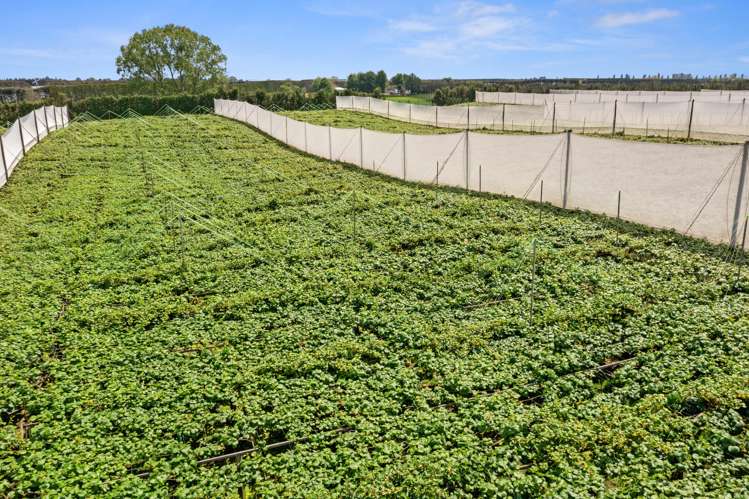 23 Wilson Road North Paengaroa_7