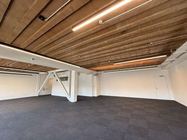 17 Maidstone Place Grey Lynn_4