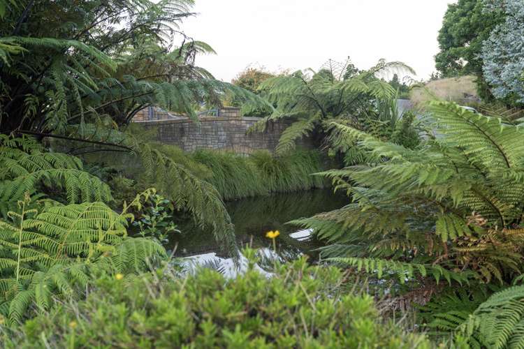 50B Paul Road Whenuakite_39