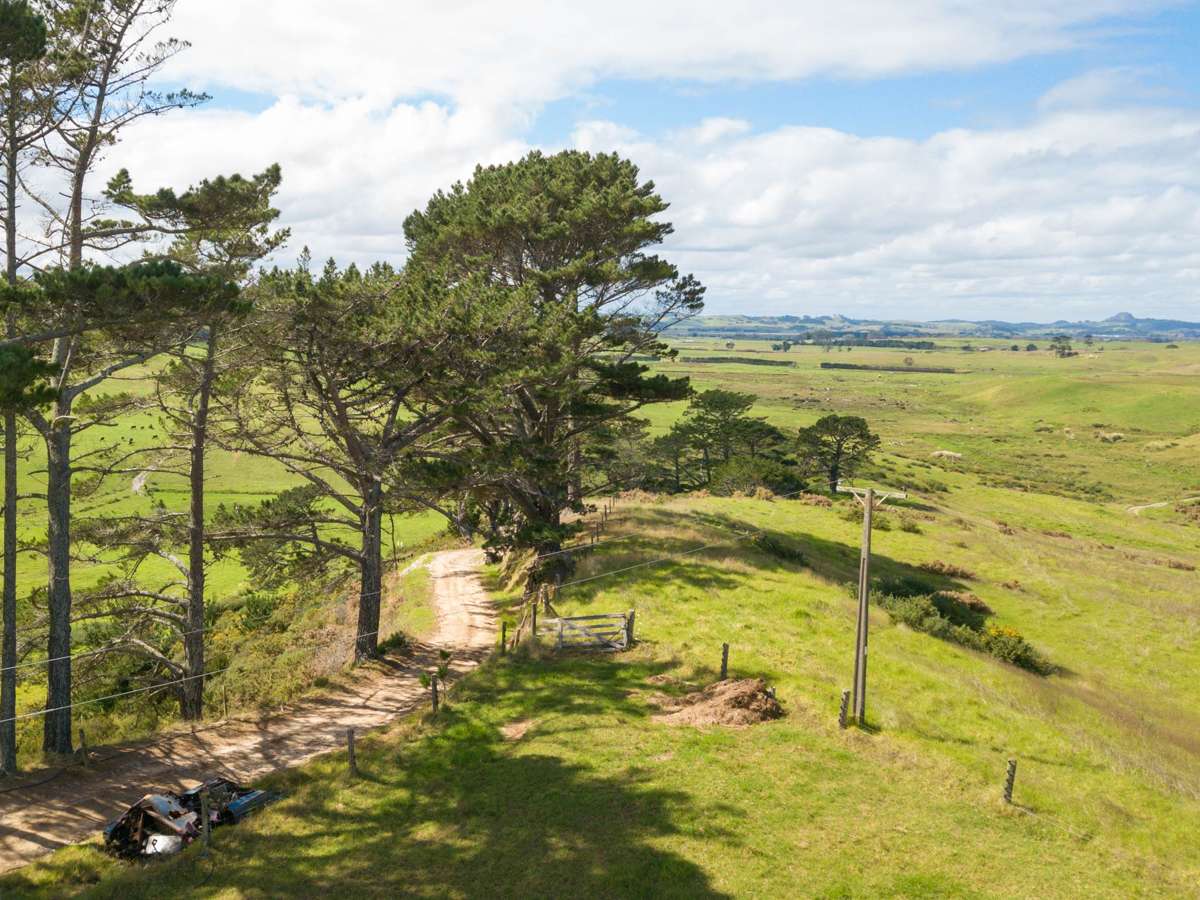 455 Mt Wesley Coast Road_2